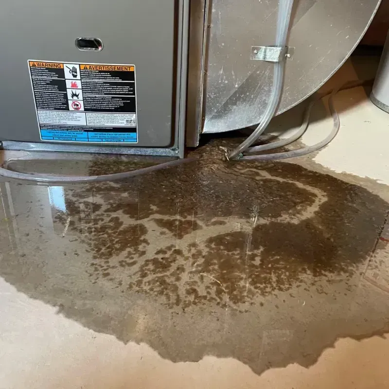 Appliance Leak Cleanup in New Albany, OH